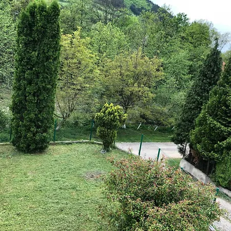 Renesansa