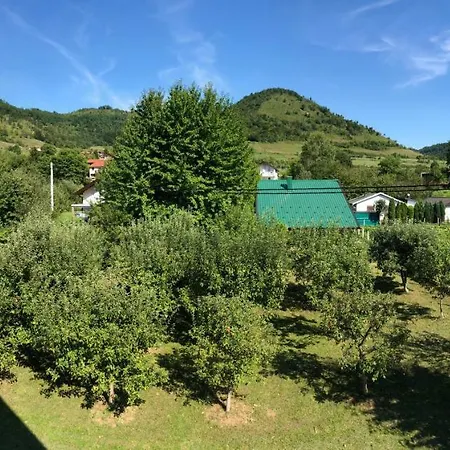 Renesansa *
