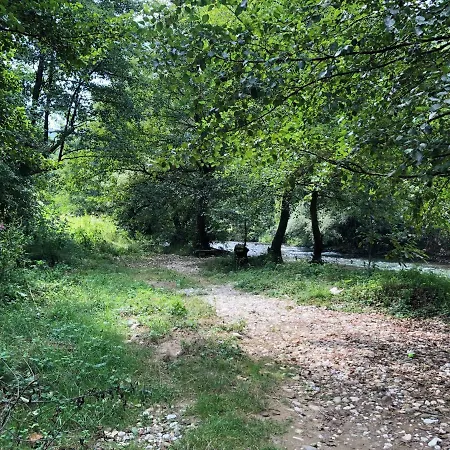 Renesansa *